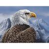 DIY Орел 5D алмазная живопись полная круглая дрель смола Алмазная вышивка животных мозаика птица вышивка крестиком домашний декор стены искусства