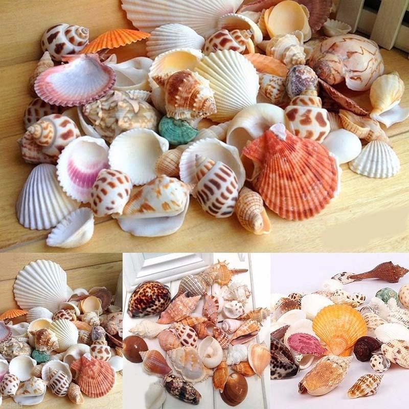 Approximately 100g of Mixed Sea Shells 30 Pieces Per Bag, with Random Colors To Create a Unique Aquarium Landscape
