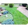 Plastic Garden Border - ICH-ZAPFE.DE - 15 Cm X 6 M - Grey