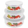 3 Pcs Fresh-keeping Enamel Bowl Fruit Mixing Bowls Food Serving Appetizer Spaghetti Storage with Lid Office Student