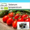Подарочный набор - Органический - Помидоры - Рома - 15 семян - С подарочной коробкой, карточкой, этикеткой и субстратом для горшков - Solanum lycopersicum