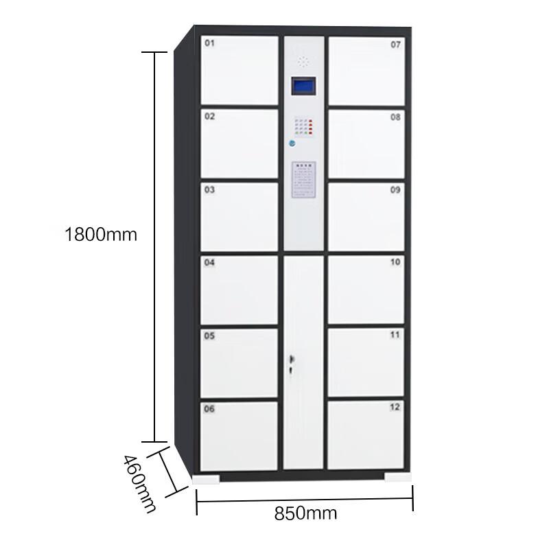 Smart Electronic Storage Locker
