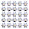 25Pcs 5V LED Chips 200LM 3W High Power LED Lamp Beads for DIY Lighting FixturesNatural Light