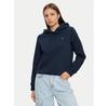 Толстовка Tommy Jeans DW0DW19958