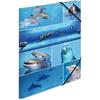 Herma Elasticated Cardboard Folder A3 Animals (Dolphins)
