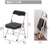 Takeda Corporation Folding Chair with Low [Folding/pipe Chair/kitchen Chair] Backrest, Type, Office, Steel/metal, Brown/beige