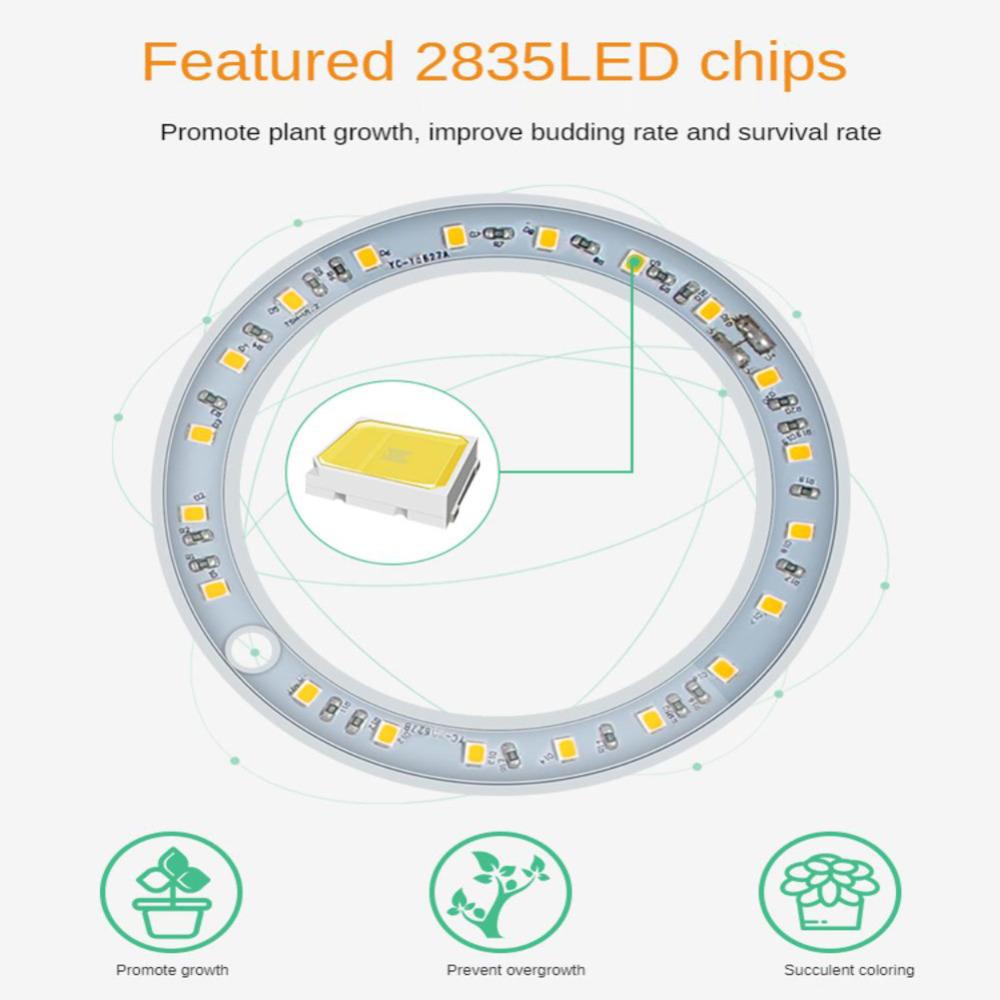 Светодиодный светильник полного спектра для выращивания комнатных растений, регулируемая по высоте лампа для выращивания ангельских колец с автоматическим таймером, идеально подходящая для освещения небольших растений