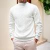 Men Turtleneck Sweater Twisted Knitted Pullover Sweater Casual Solid Color Base Layer Top for Street Work Dating Daily Wear