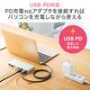 SANWA SUPPLY USB Док-станция с Type-C (с подставкой) Выход HDMI/DisplayPort, USB-CVDK9STN