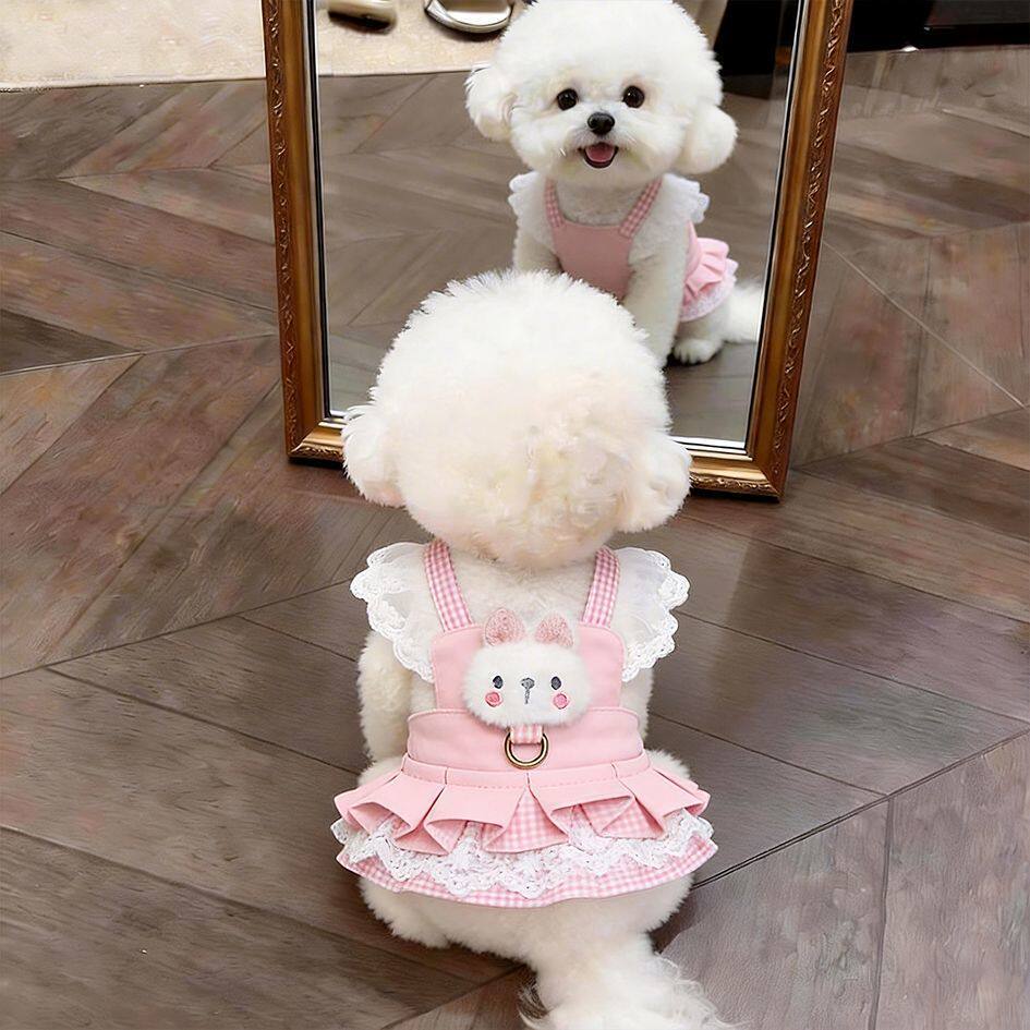 Pet dog clothes princess dress for small dogs like Teddy, Bichon, Pomeranian, Yorkshire, summer thin pet apparel