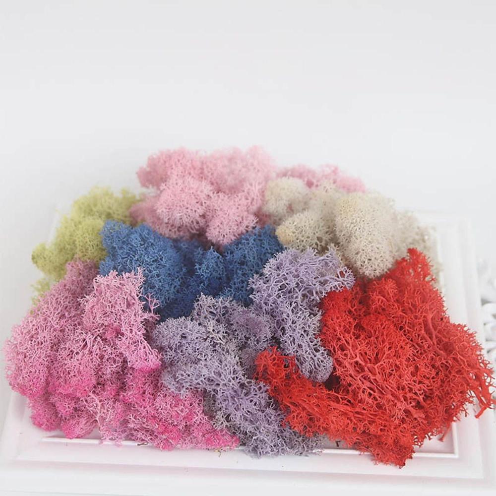 Украшение Рождественский цветок Искусственное растение Мох олений Вечный мох Микроландшафт