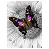 5D Diy Diamond Painting Butterfly Animal Cross Stitch Kit Full Drill Embroidery Mosaic Art Pictures of Rhinestones Home Decor