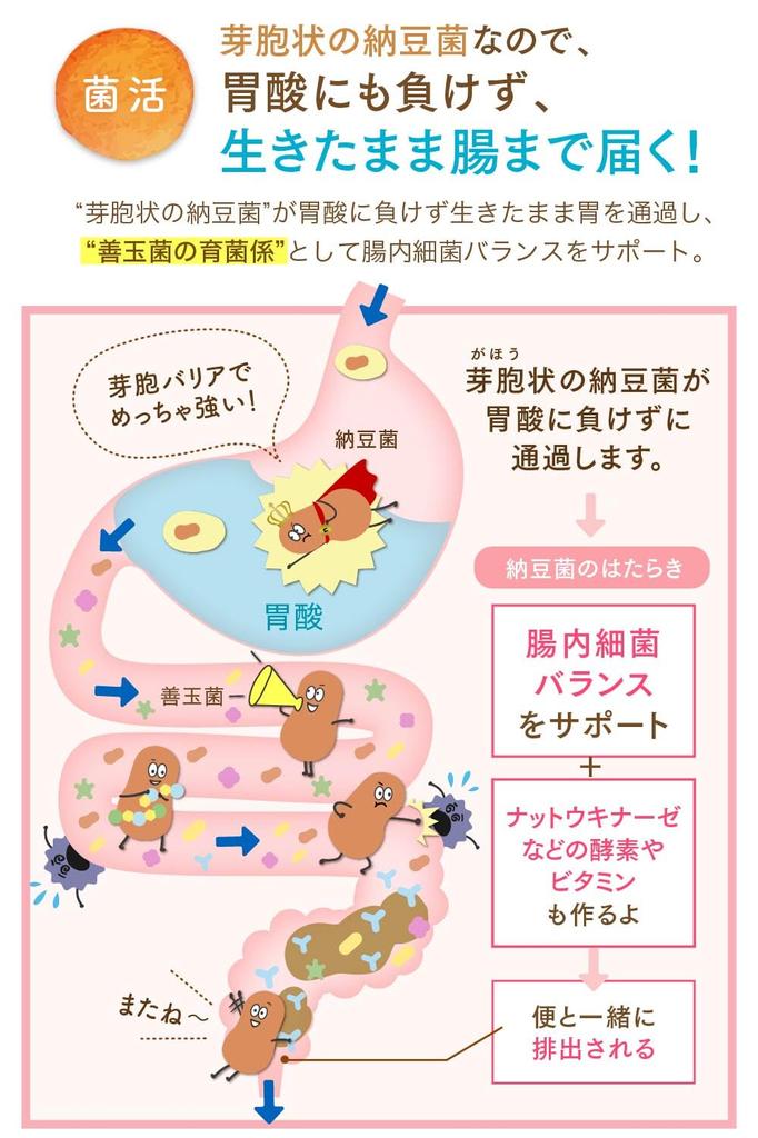 Лучшая покупка Что такое Кона натто и бактерии Натто Ложка порошкообразного натто отечественного производства натто полностью натто [премия LDK] (запах