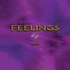 Feelings by Malin . Hardback Book 9781035844623