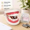 Mini Denture Shaped Stapler Denture Shape Novelty Stapler Tooth Stapler  Desktop Decoration