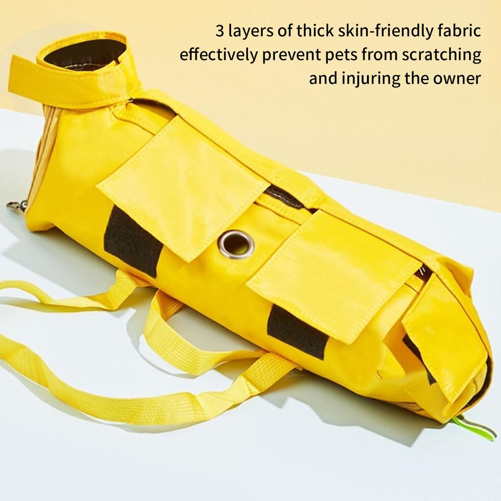 Foldable Pet Carrier Backpack Lightweight Nylon Material Breathable Mesh Portable Design For Cats And Small Dogs