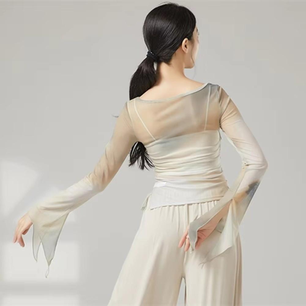 Long Slit Classical Dance Mesh Top Prints Chinese Hanfu Women Dance Wear