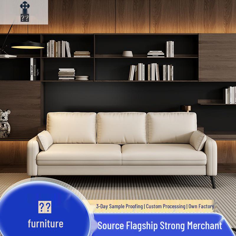 Minimalist Light Luxury Sofa for Small Apartment or Clothing Store