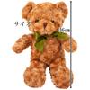 Active Island Teddy Bear 3 Minute Recording Stuffed Toy Gift Birthday Present Bear A578 (Brown)