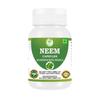 Morsan Healthcare NEEM Capsules – 60 Veg Capsules | Pure Azadirachta Indica Extract | Natural Plant-Based Herbal Supplement | Pack of 1