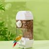 Convenient Bird Feeder Transparent Bird Food Box Bird Hanging Food Dispenser  Outdoor