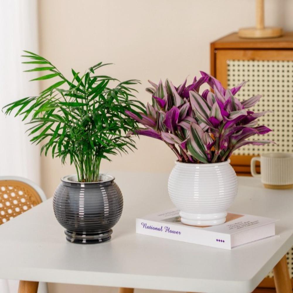 Removable Flowerpot Plastic Office Bonsai Decor Fashion Mini Succulent Planter Tabletop Vase