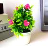 Цветок Роза Мини в горшке Украшения для дома Настольные сувениры Декор для подарка