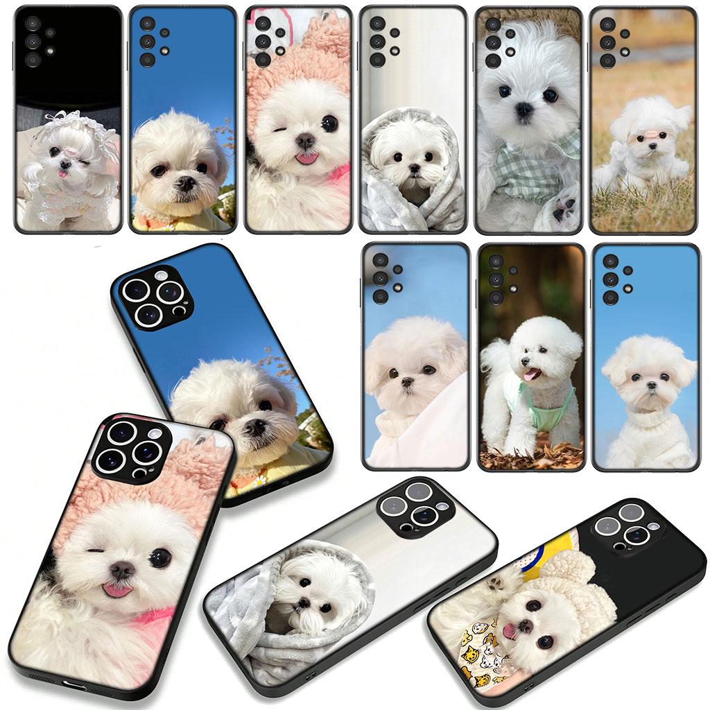 Cover for Samsung Galaxy A36 A17 A26 A07 A35 A54 A53 A13 A33 A34 S8 S9 S20 S21 FE S10 Plus Phone Case Pet Bichon Frise White Dog