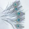 10pcs /Set Beautiful Natural Peacock Feathers Eyes For Diy Clothes Decoration Wedding Party 26 -30cm Peacock Tail Feathers