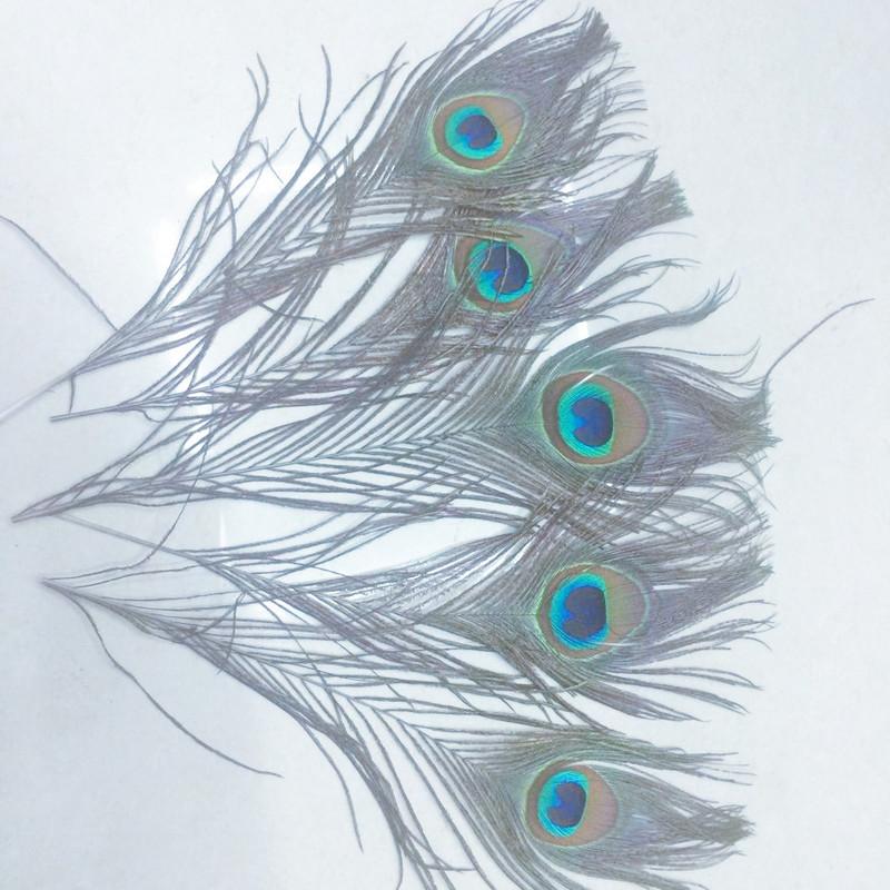 10pcs /Set Beautiful Natural Peacock Feathers Eyes For Diy Clothes Decoration Wedding Party 26 -30cm Peacock Tail Feathers