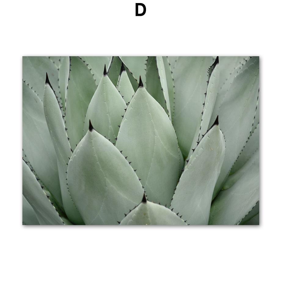 Зеленое растение агава кактус линия геометрия абстрактный постер печать холст картина скандинавское настенное искусство картины для гостиной домашний декор