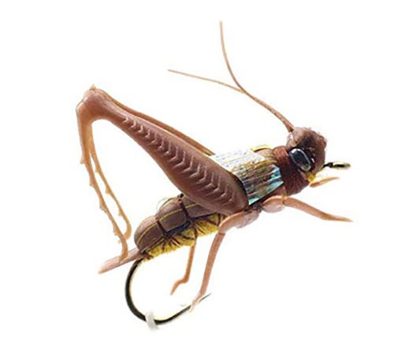 Flies Dry Fly Fishing Flies Insect Baits Fishing Lure Carp Trout Muskie Fly Tying Material Flyfishing