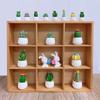 Mini Cute Succulent Plant Pots Resin Dollhouse Miniature Succulent Potted Cactus Car Ornament