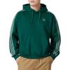 Adidas Оригинальный полосатый дизайн теплый повседневный пуловер с капюшоном мужской свитшот зеленый JP1070