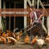 3 In 1 Stretchable Chicken Poop Scooper Chicken Coop Accessories Sifting Shovel for Chicken Coop Chicken Litter Scoop Supplies Separating Poo and