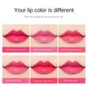 VIBELY Jelly Change Lipstick Aloe Veority Constellation Corporal Cosmetic Seven Color Увлажняющая увлажняющая помада