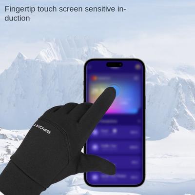 Горнолыжный спорт и сноубординг – Горнолыжные перчатки