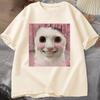 Goofy Ahh Cat T Shirt Meme Dank Cursed Weirdcore Cringey T-Shirts Men Women I Got Too Silly Tshirt Huh Cat Memebn Crying Cat