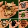 Fun Mini Middle Finger Animal Statue,3D Printed Funny Middle Finger Animal Desktop Decoration, Middle Finger Gag Gift