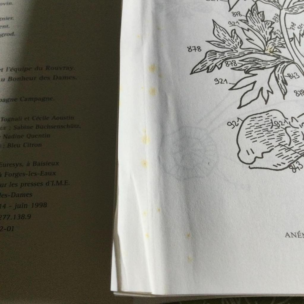 [USED] Flower Embroidery Motif Trapunto Buti Western Books Design Collection Flower