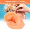 Силиконовая левая ухо модель имитация дисплей ухо модель для больничных слуховых аппаратов