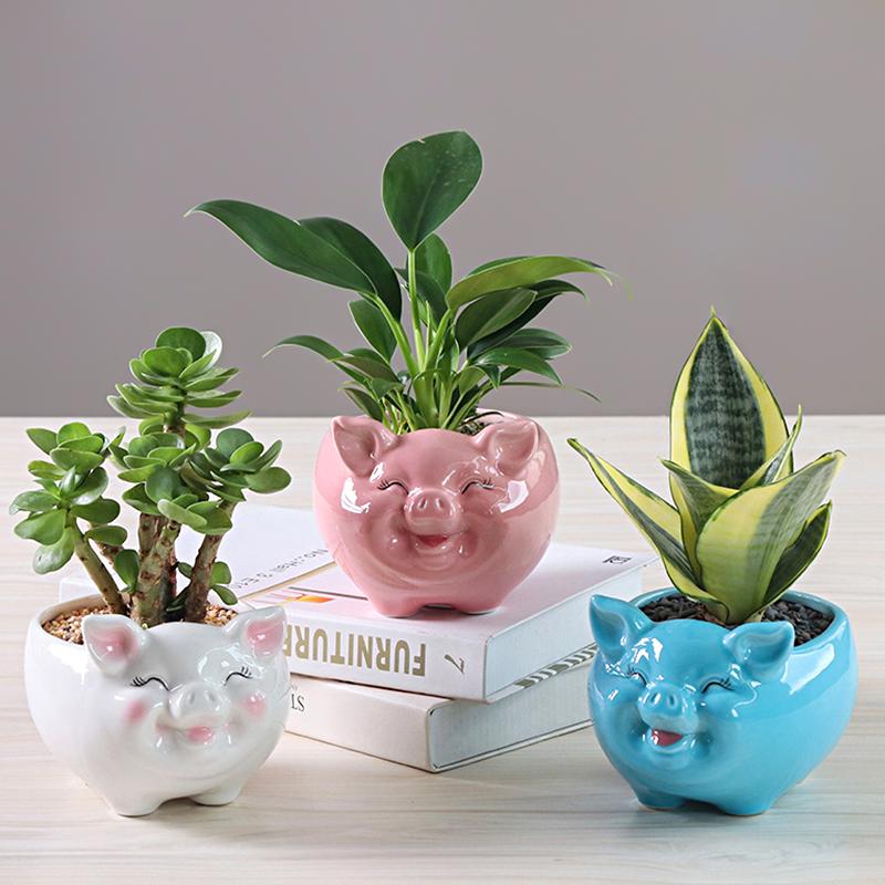 1 шт., украшение в виде свиньи, вырезанный цветочный горшок, S/M/L, цветочный горшок, садовые принадлежности, горшок для суккулентных растений, керамический