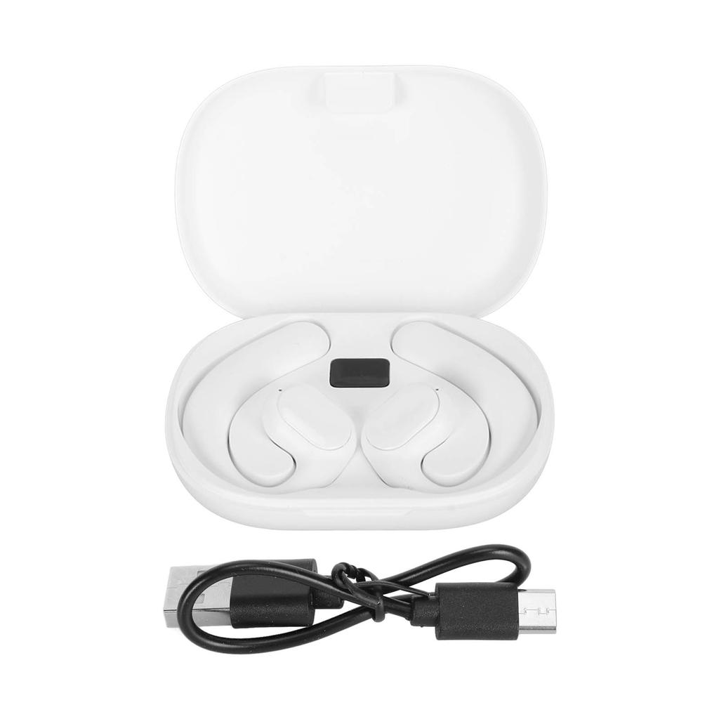 Language Translator Earbuds 3 Modes Bluetooth 5.3 Translator Earphones Multifunction GT01 for Business for Learning