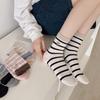 Ladies Spring and Summer New Simple All Kinds of Mesh Bear Embroidery In The Tube Cotton Socks