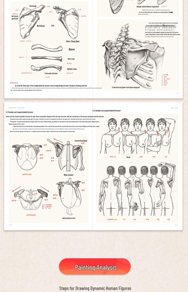Полное руководство по анатомии человека: Справочник по рисованию и скетчингу для начинающих