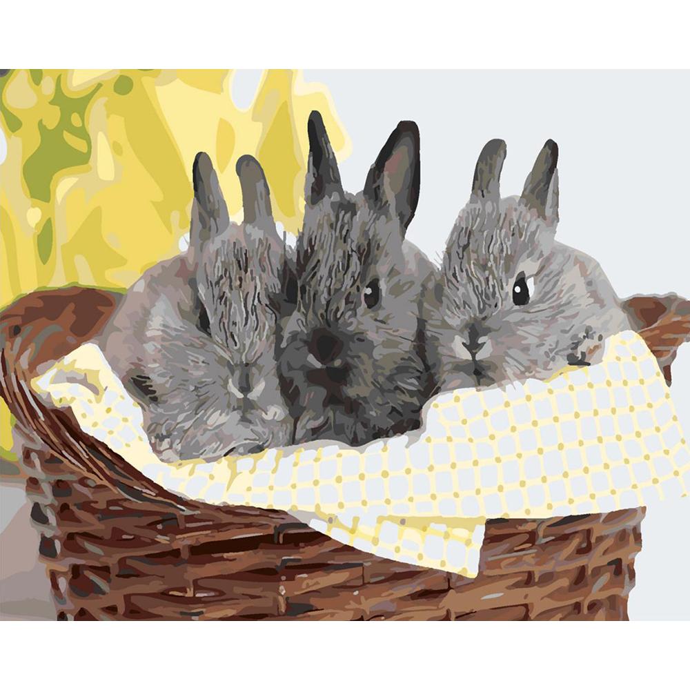 Frameless Picture Diy Painting By Numbers Animal Coloring By Numbers Acrylic Canvas Painting Handpainted Drawing Art