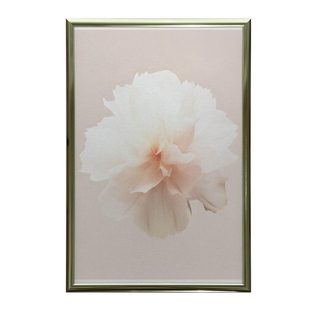 Pastelowy Kwiat W Detalu Pastelowy Kwiat W Detalu, 70X100 Cm, Rama Drewniana Jasny Dąb, Papier Matowy 230 Gsm