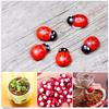 50шт миниатюрный DIY маленький садовый декор Coccinella Septempunctata изделия из смолы