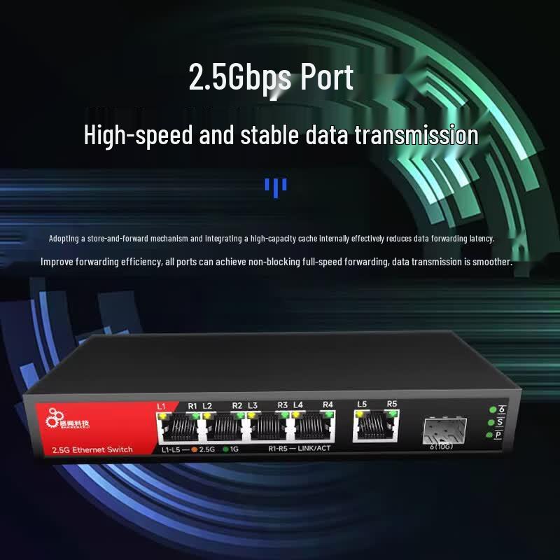 Ganwen Technology 2.5G/10G SFP Ethernet Switch