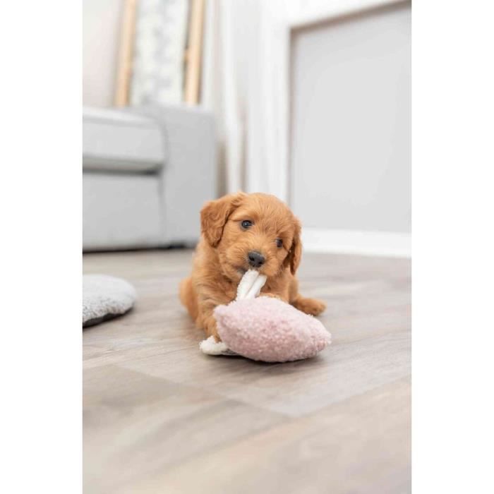 Jouet peluche - Trixie - Cochon - Rose - Pack de 3 - Durable et amusant